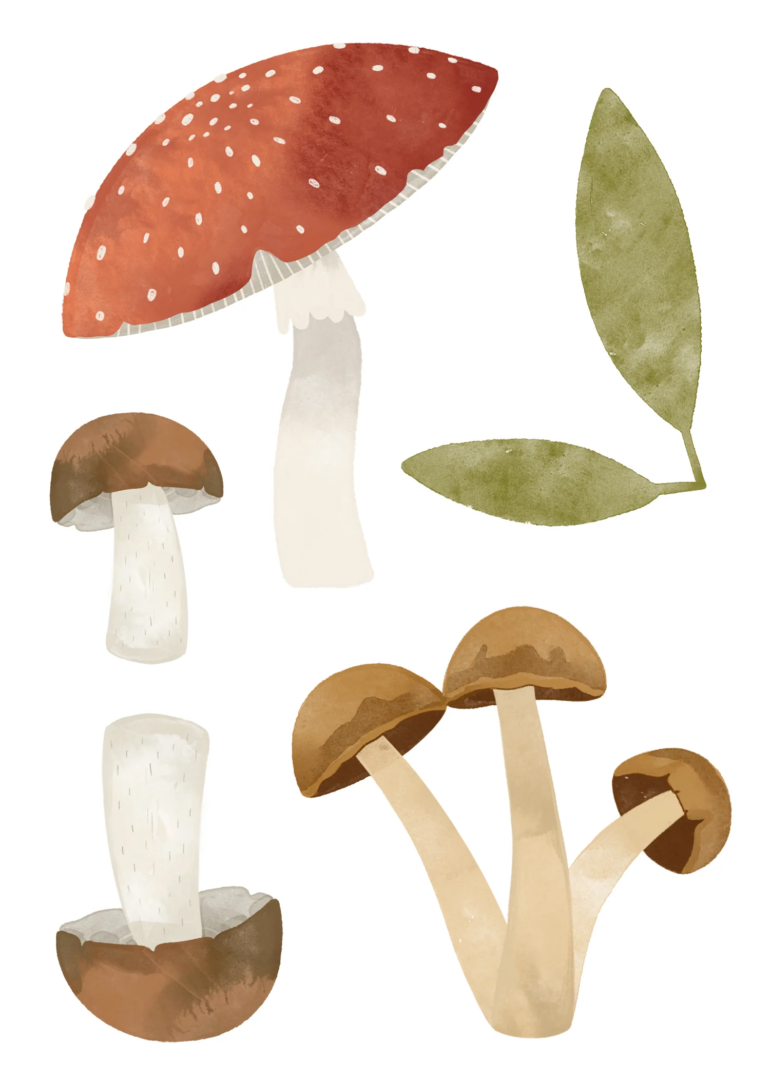Autocollants muraux Champignons - Image 3