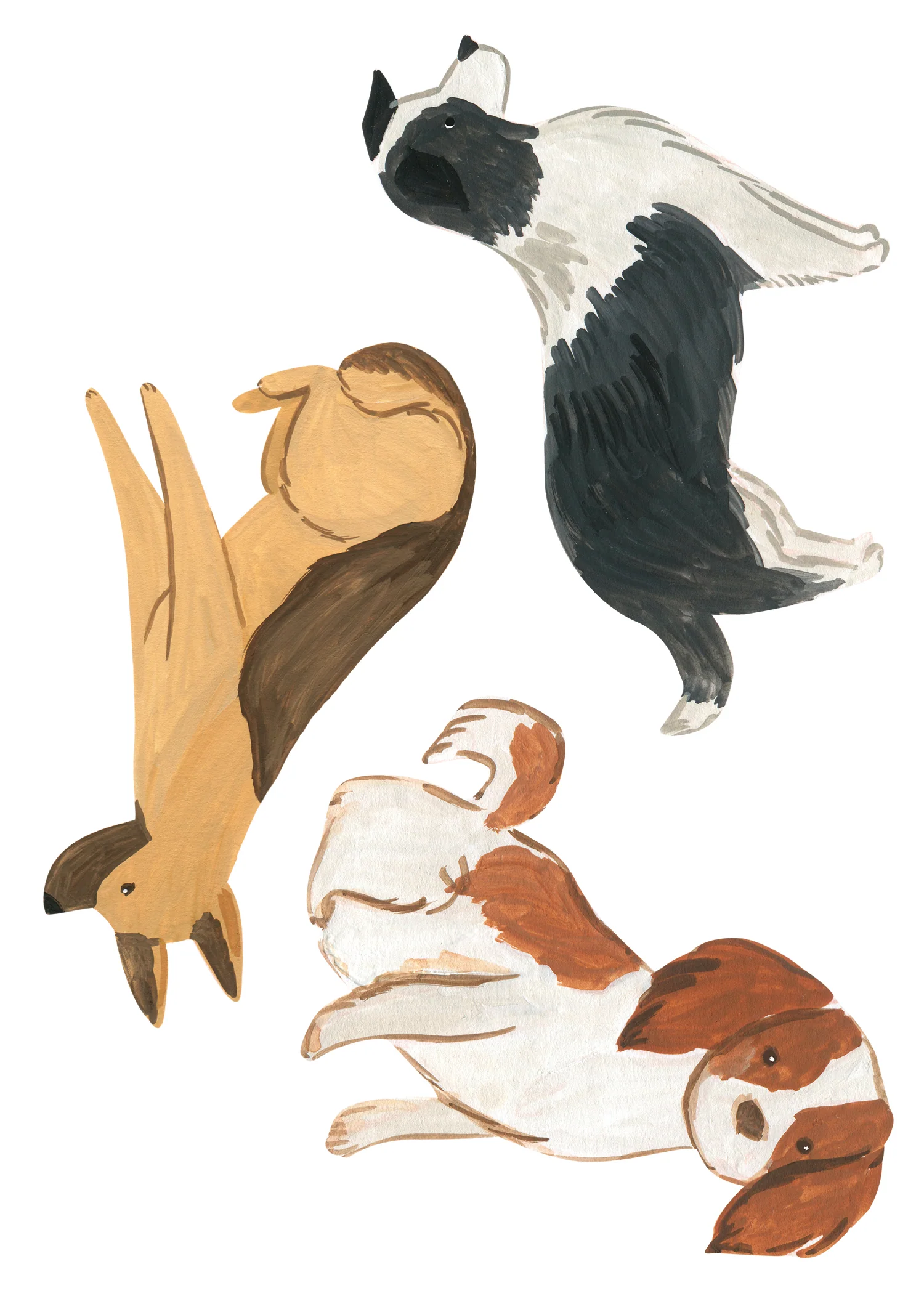 Autocollants muraux Les Canins - Image 4