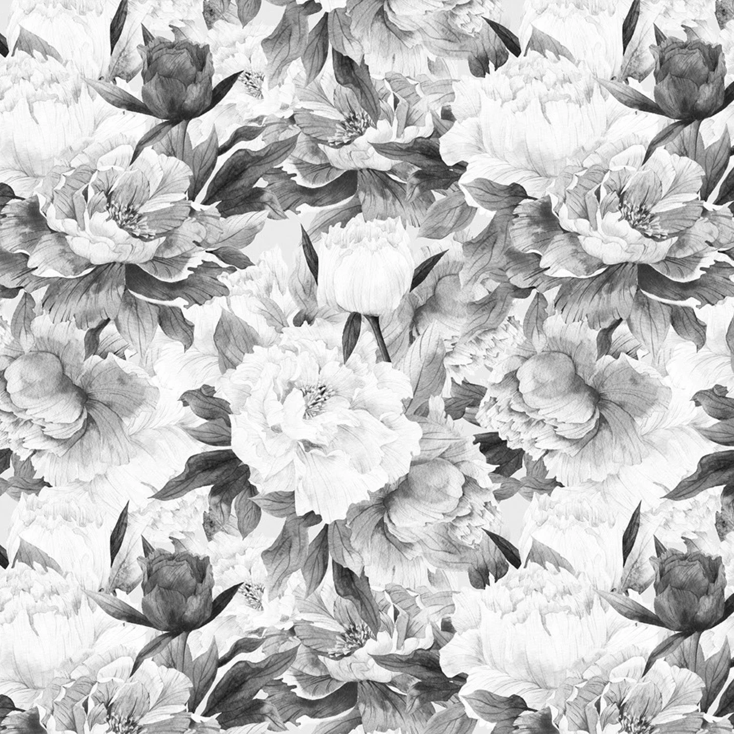 Murale Blush black XL - Image 3