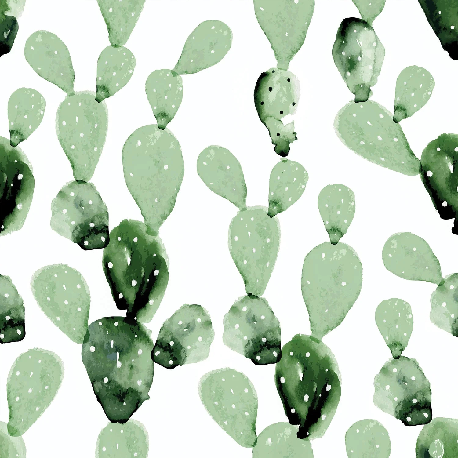 Murale Cactus