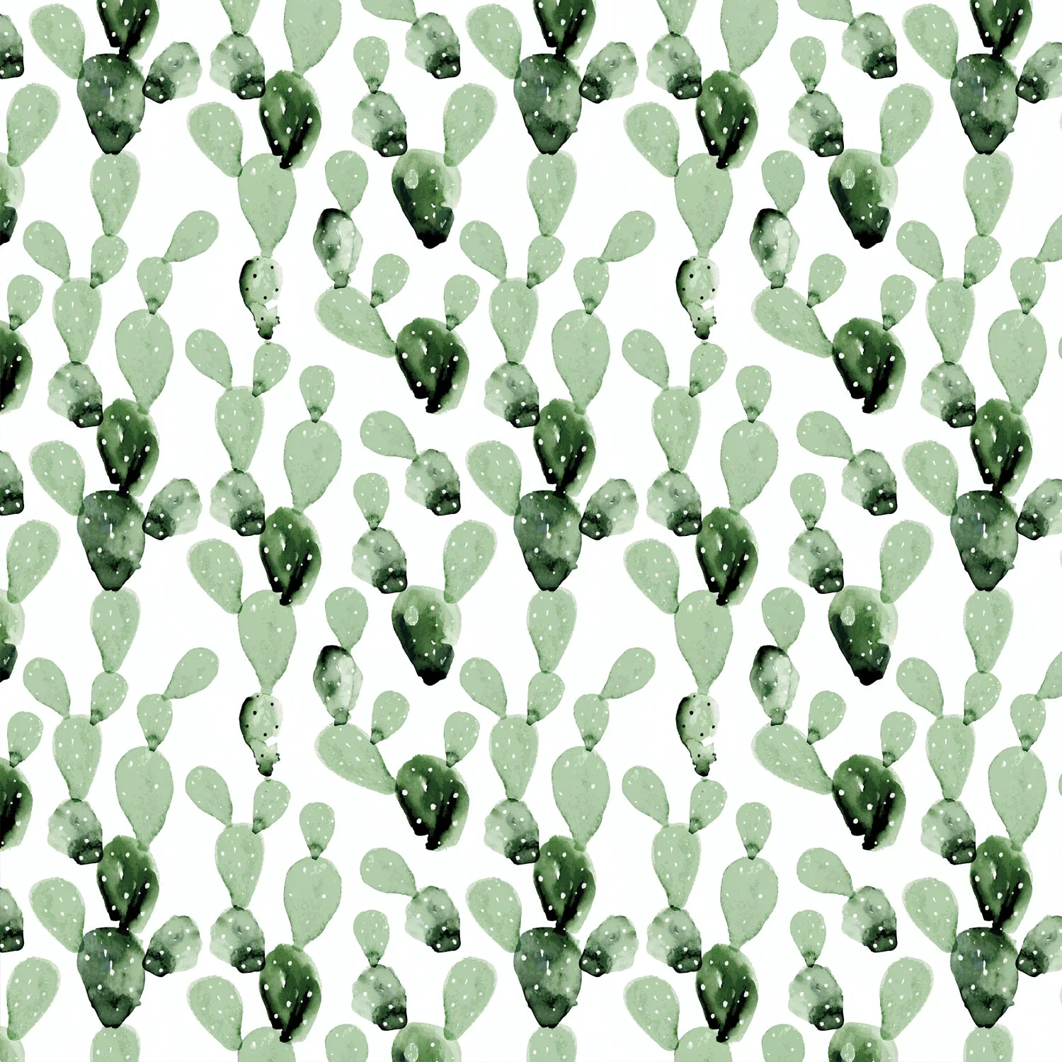 Murale Cactus - Image 4