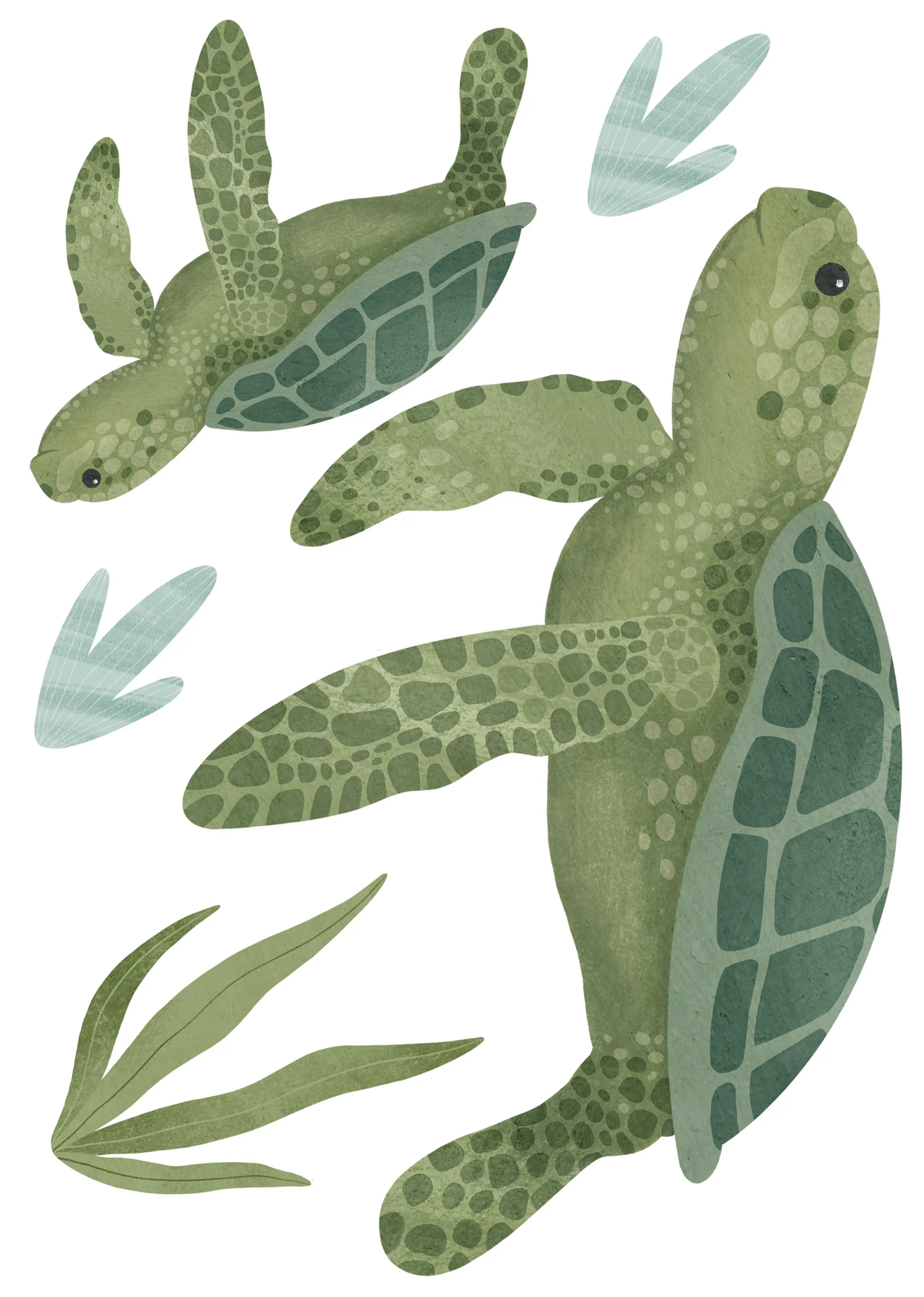 Autocollants muraux Tortues - Image 3