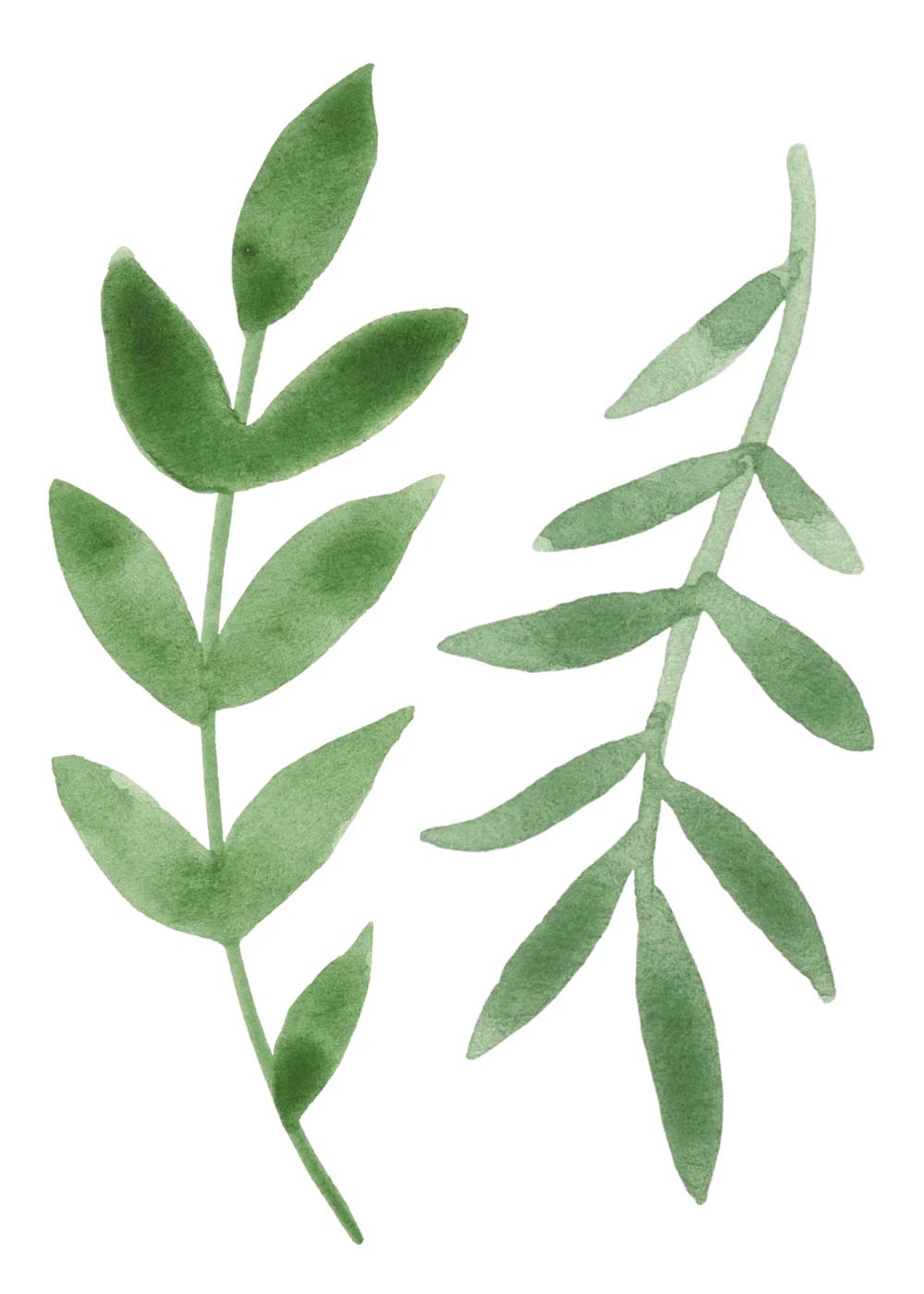 Autocollants muraux Feuilles - Image 3