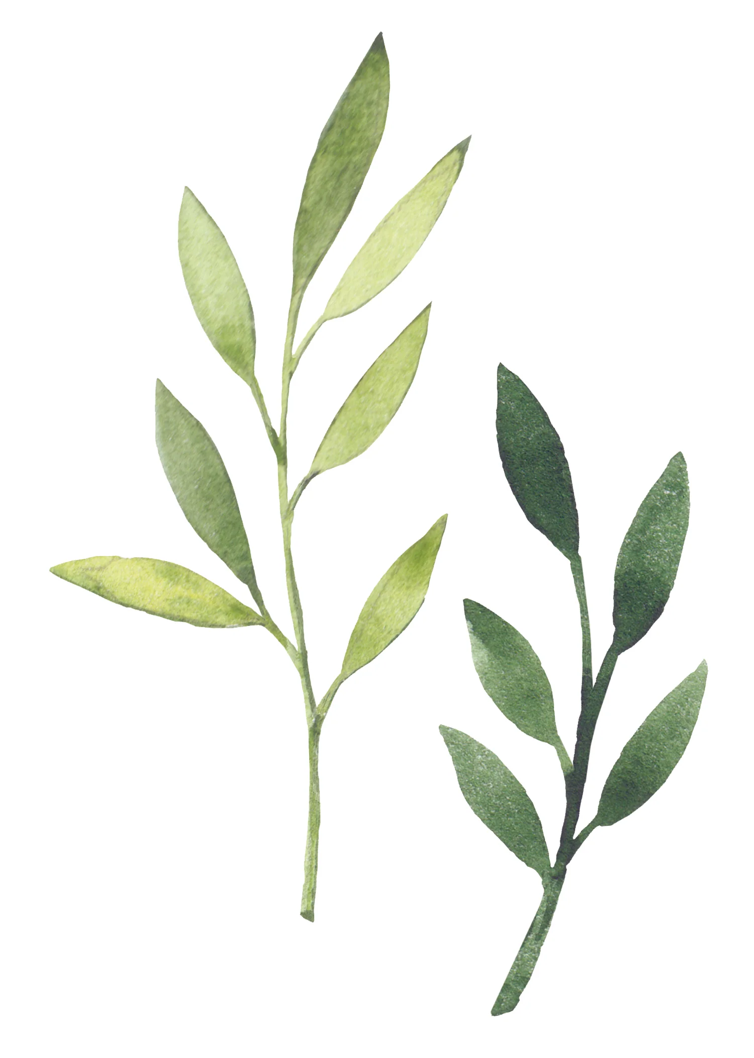 Autocollants muraux Leaves - Image 4