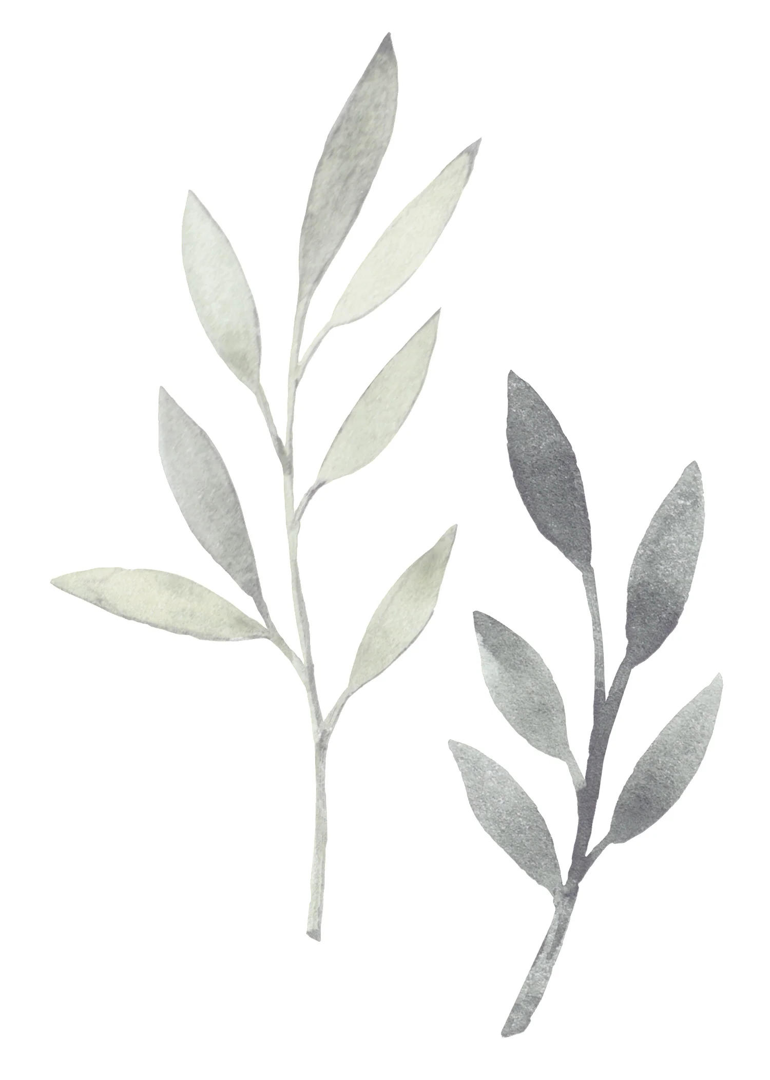 Autocollants muraux Leaves - Image 5