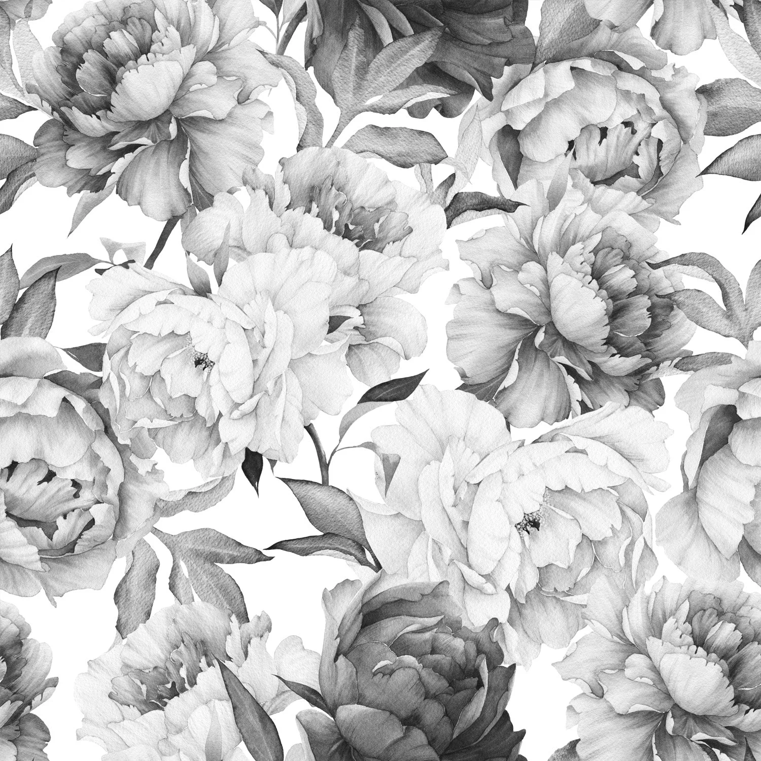 Murale Black Peonie