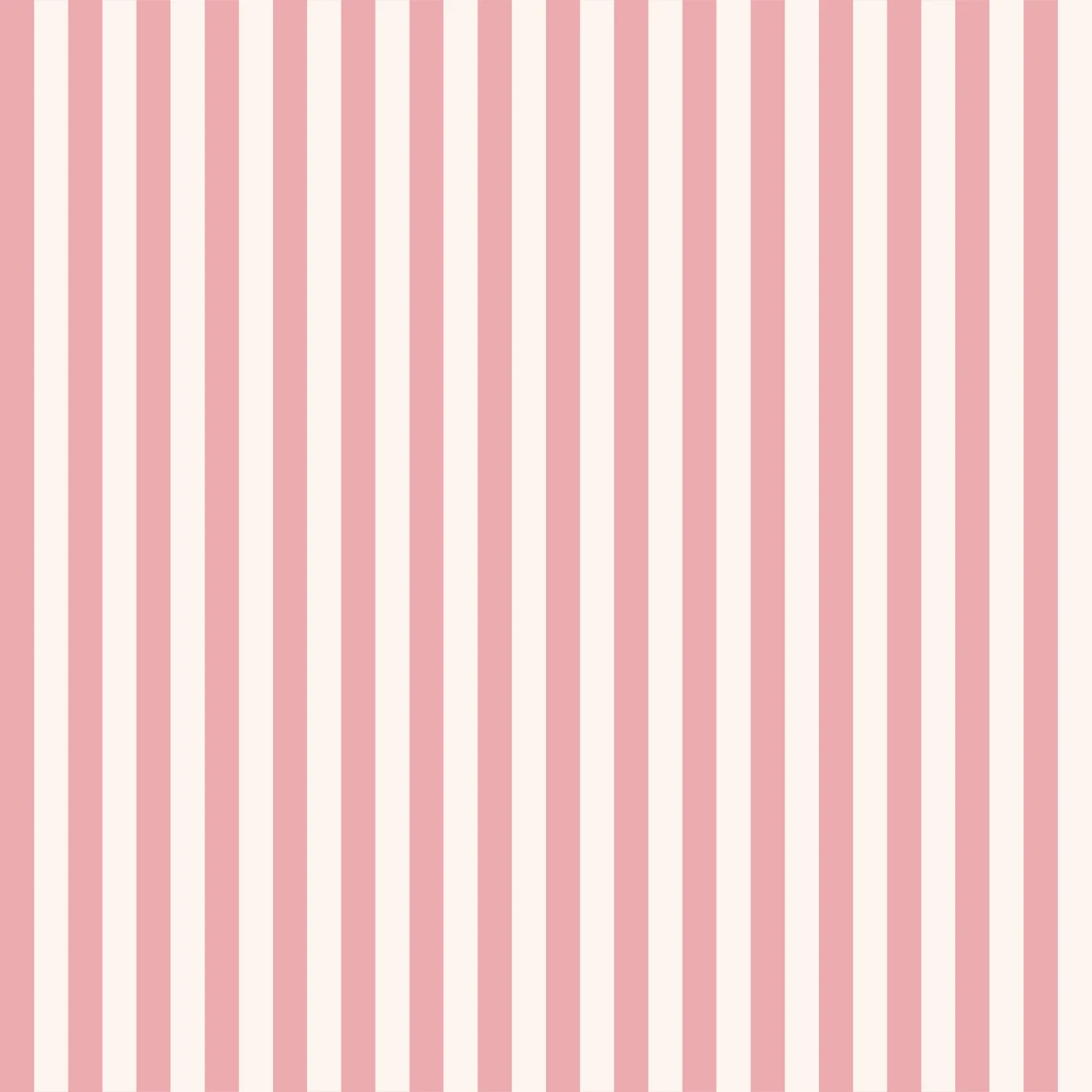 Papier Peint Olie Colorée 0,25 po - Image 6