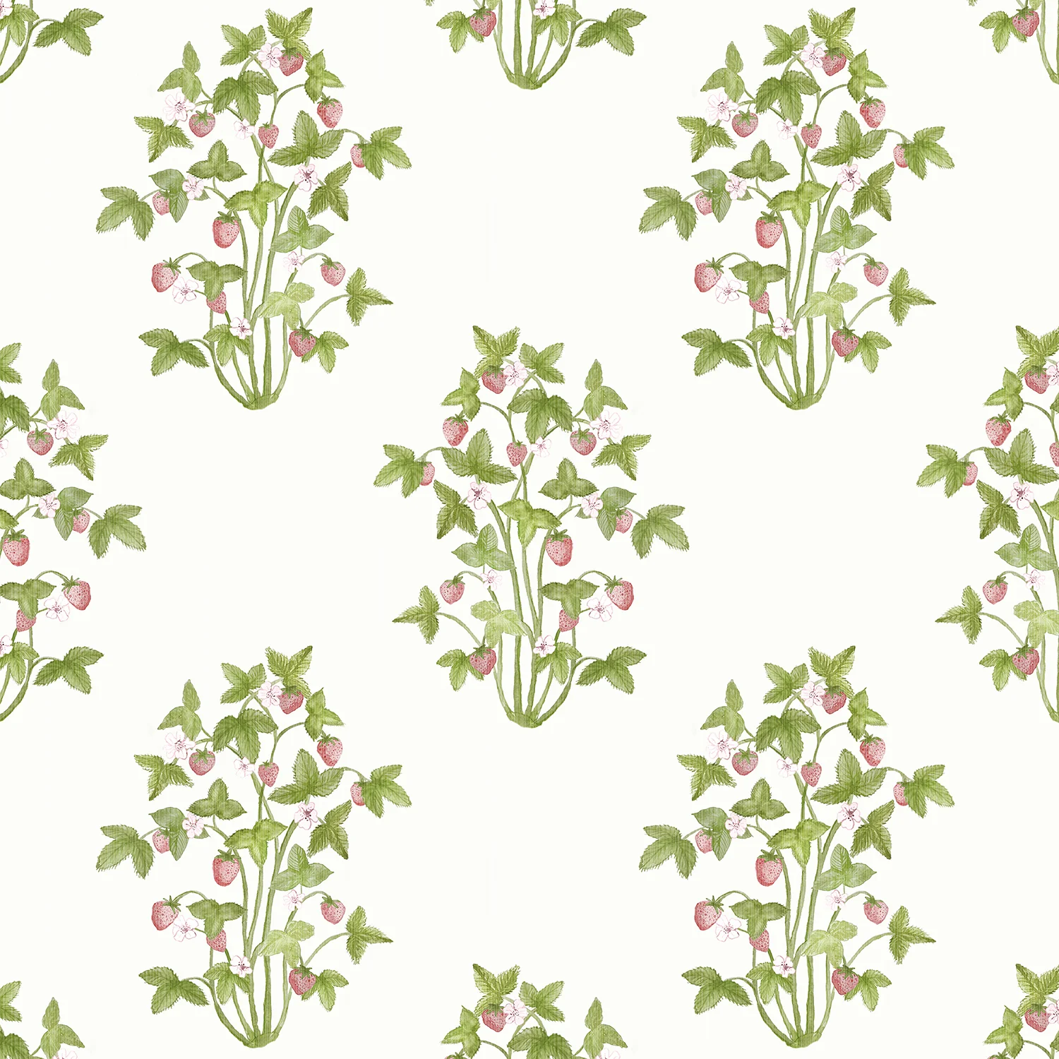 Papier Peint Strawberries par Danika Herrick - Image 7